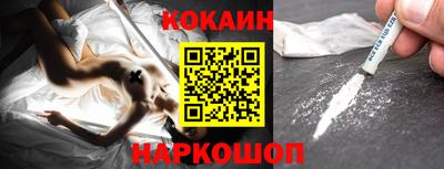 герыч Кингисепп