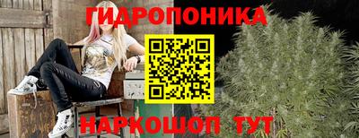 герыч Кингисепп