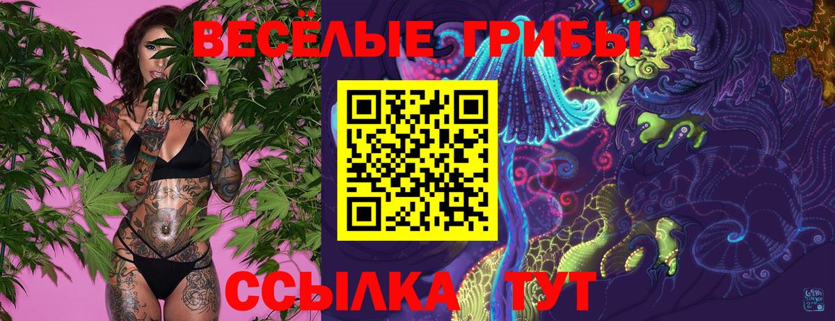 Ярцево  Псилоцибиновые грибы Psilocybine cubensis  Галлюциногенные грибы GOLDEN TEACHER  Вход с VPN 